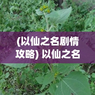 (以仙之名剧情攻略) 以仙之名探索：从杂草中遇见的蒲公英，揭开自然与超凡的神秘联结